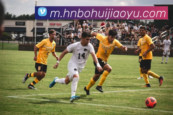 多媒体互动体验