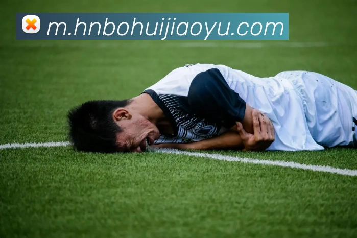 星空体育官方网站APP 高清赛事图